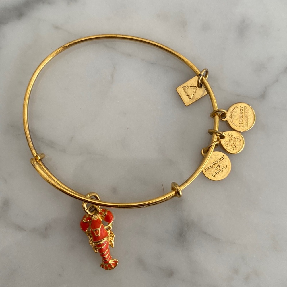 Lobster Alex and Ani bracelet